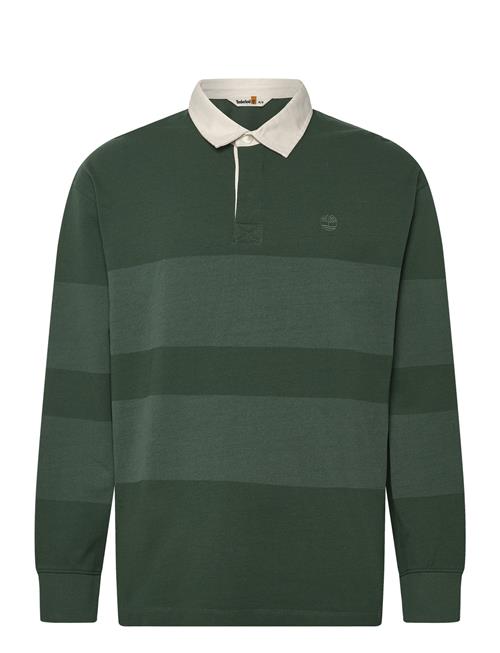 Timberland | Ls Striped Rugby Polo Pineneedle | L
