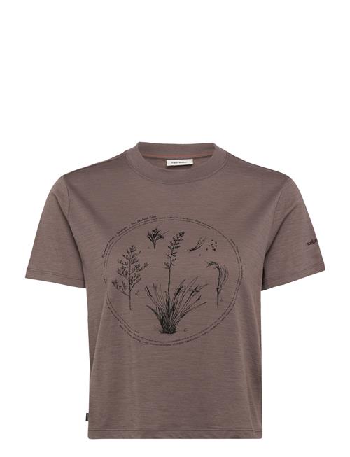 Icebreaker | W Mer 150 Tech Lite Ss Crop T Seed Stor | M