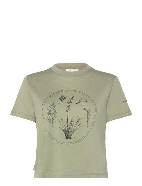 Icebreaker | W Mer 150 Tech Lite Ss Crop T Seed Stor | S