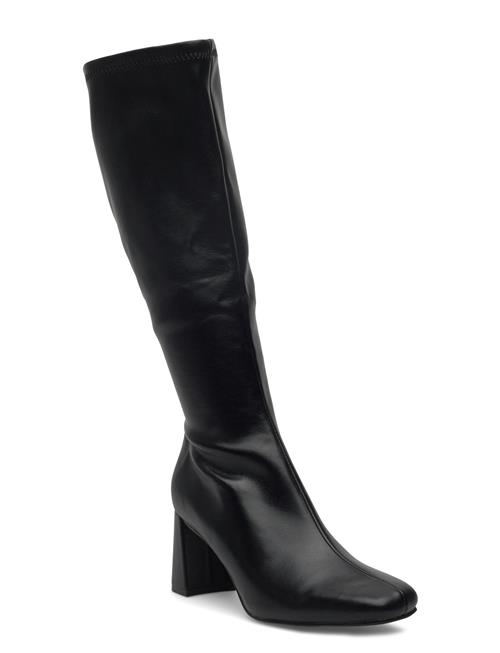 Steve Madden | Holly | 41