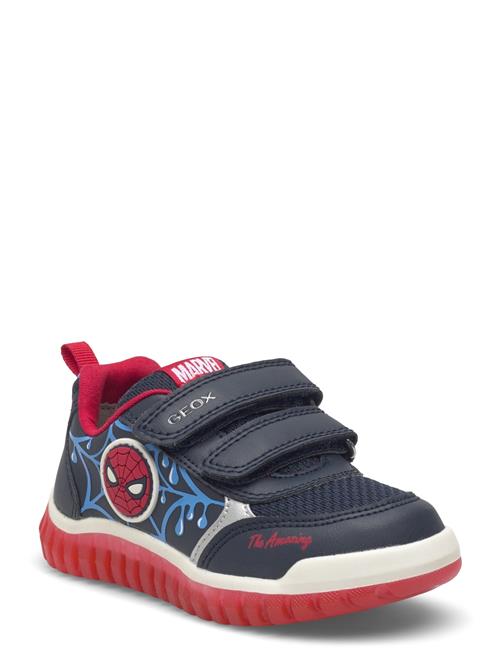 GEOX | B Lightyloo Boy C | 22