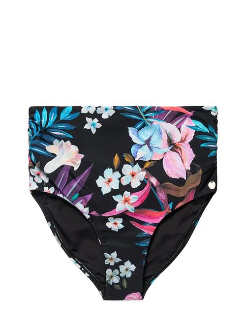 Panos Emporio | Night Jungle Chara Bottom | 40