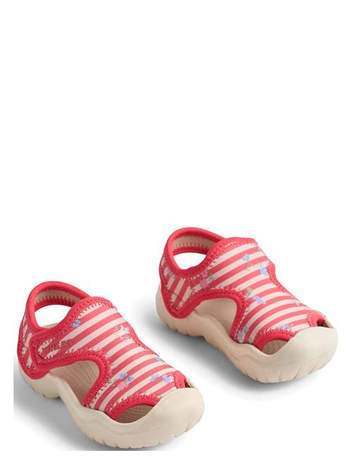 Wheat | Sandal Bani | 31