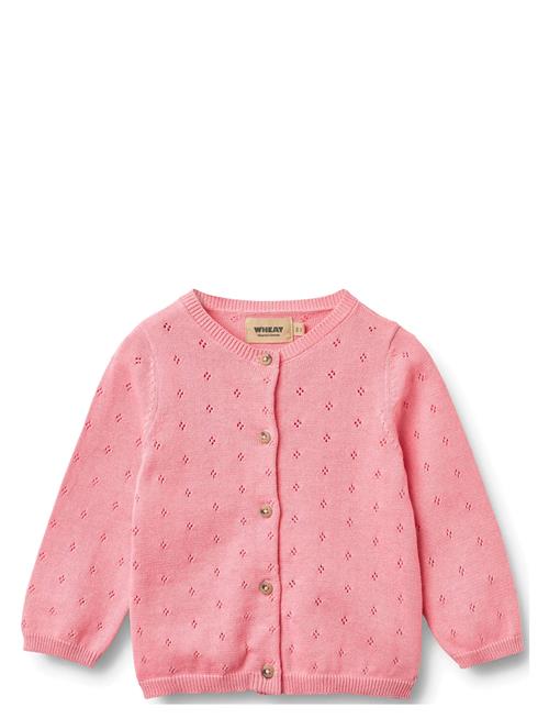 Wheat | Knit Cardigan Maia | 92