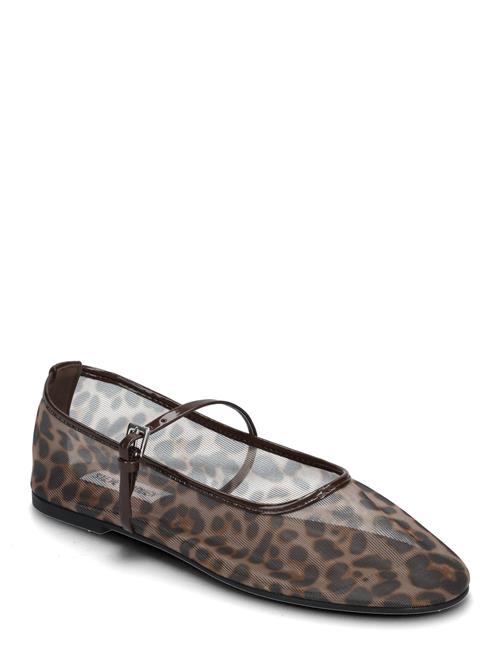 Steve Madden | Mash Balerina | 38
