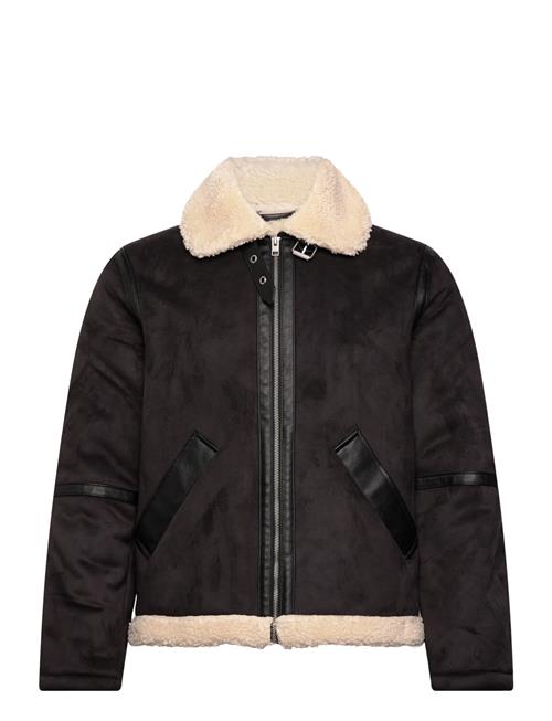 Jack & Jones | Jjcole Aviator Jacket | L