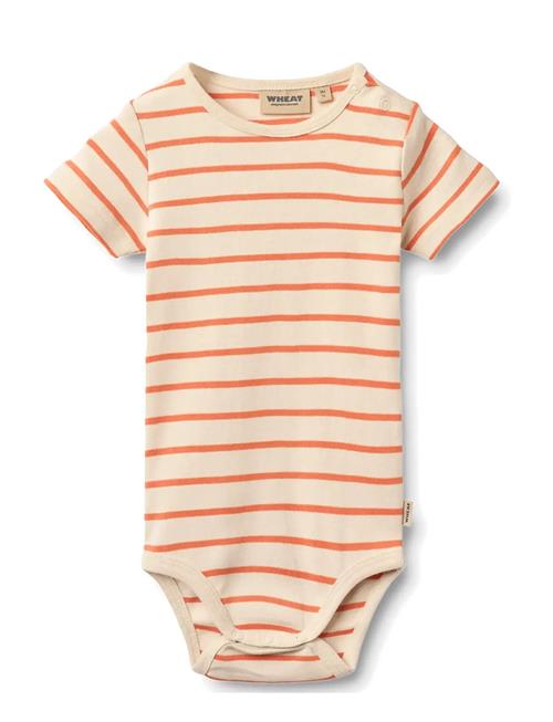 Wheat | Body S/S Edvald | 86
