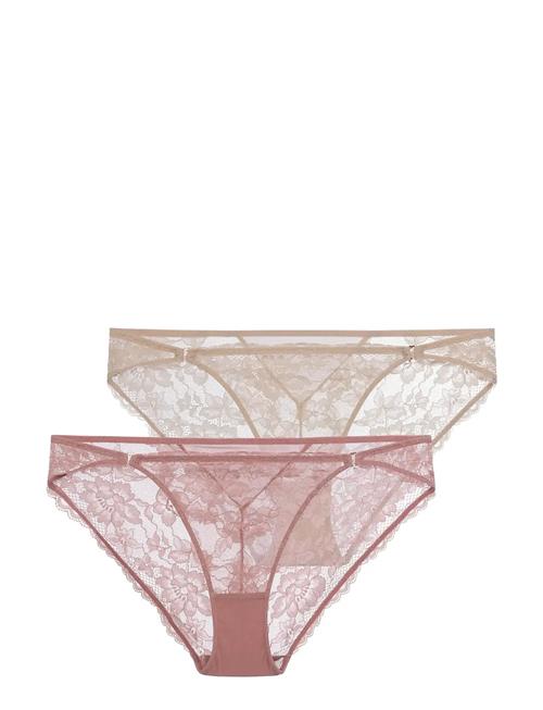 Dorina | Emory Lace 2Pp Brief | XXL