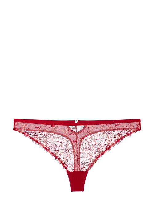 Dorina | Erin Thong | L