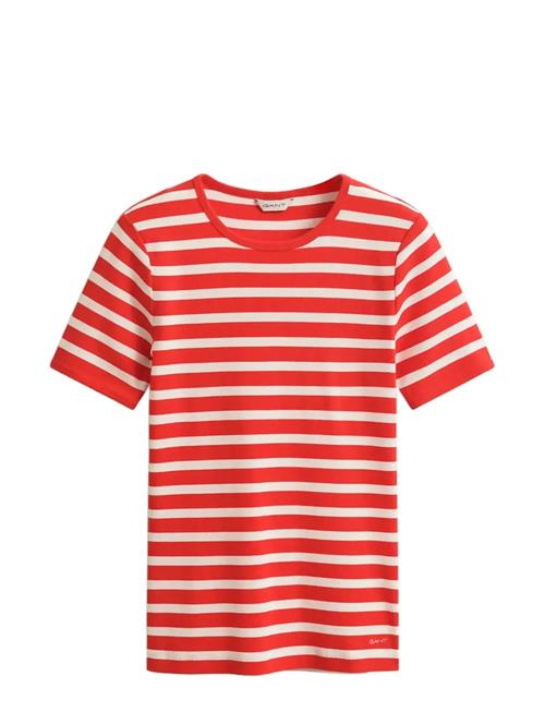 GANT | Striped Ribbed Ss T-Shirt | S