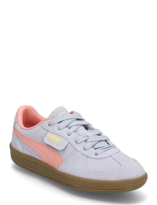 PUMA | Palermo Jr | 38