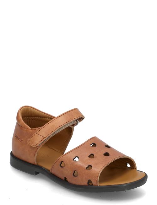 ANGULUS | Sandals - Flat  - Open Toe - Op | 35