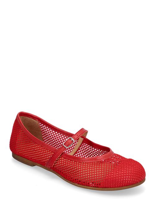 Pavement | Kaia | 40