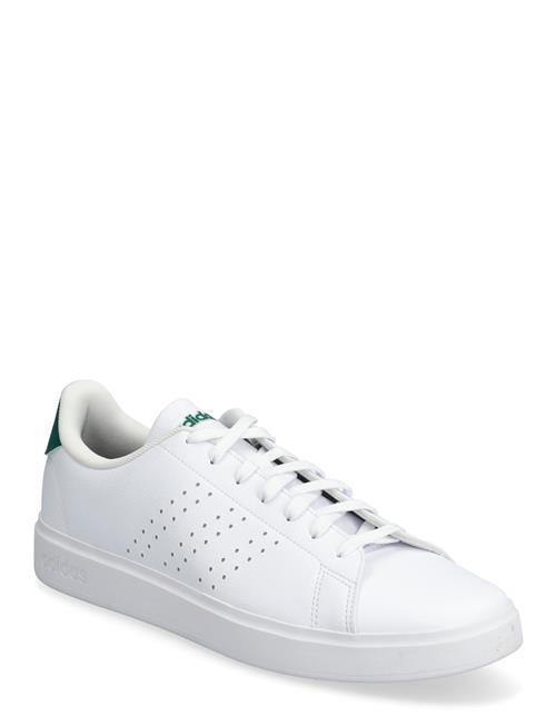 adidas Sportswear | Advantage 2.0 | 44 2/3