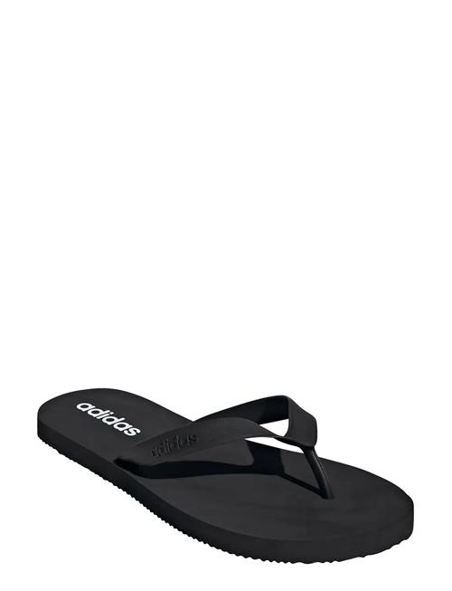 adidas Sportswear | Keitaki Alpha | 47