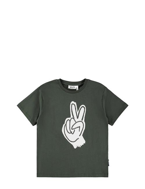 Molo | Riley | 122