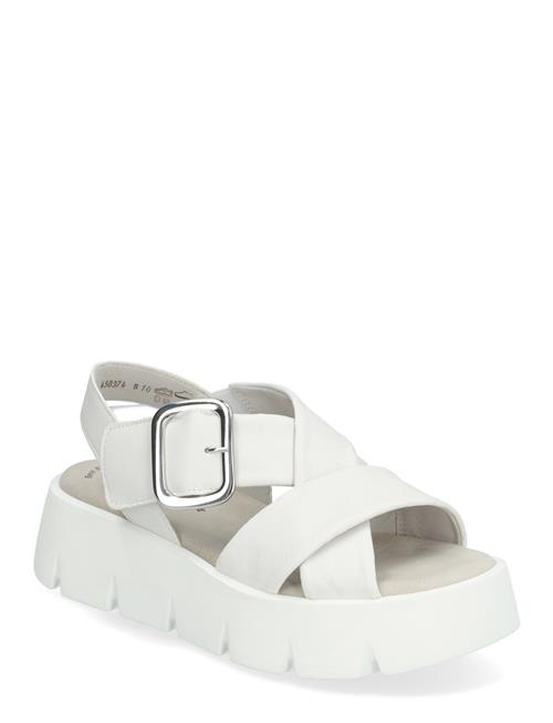 Gabor | Sandal | 40.5
