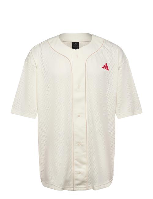 adidas Sportswear | M Sta Seas Shrt | L
