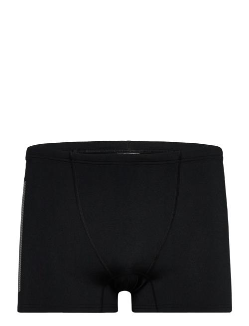 adidas Performance | Ripstr Bx | XL