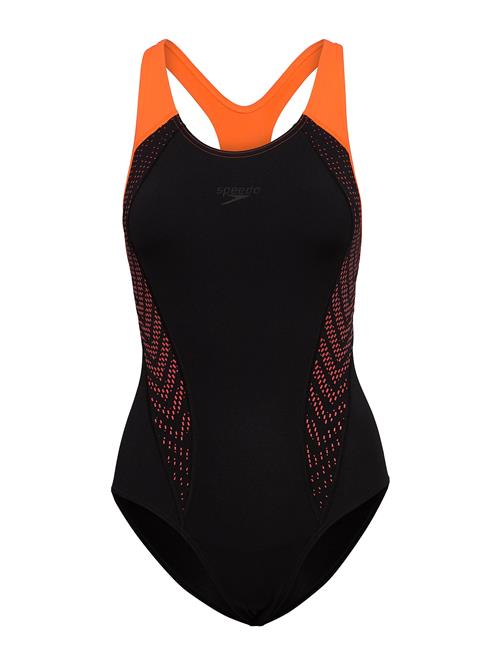 Speedo | Placement Laneback | 36