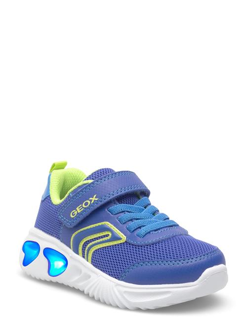 GEOX | J Assister Boy C | 32