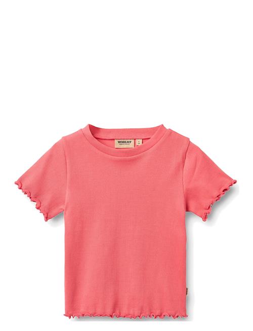 Wheat | Rib T-Shirt S/S Alicia | 110