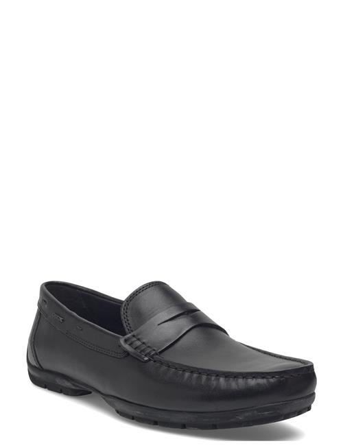 GEOX | U Moner W 2Fit D | 44