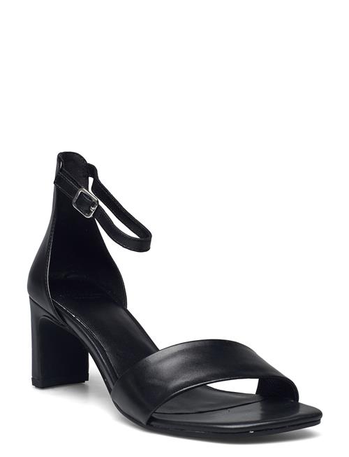 VAGABOND | Luisa | 41