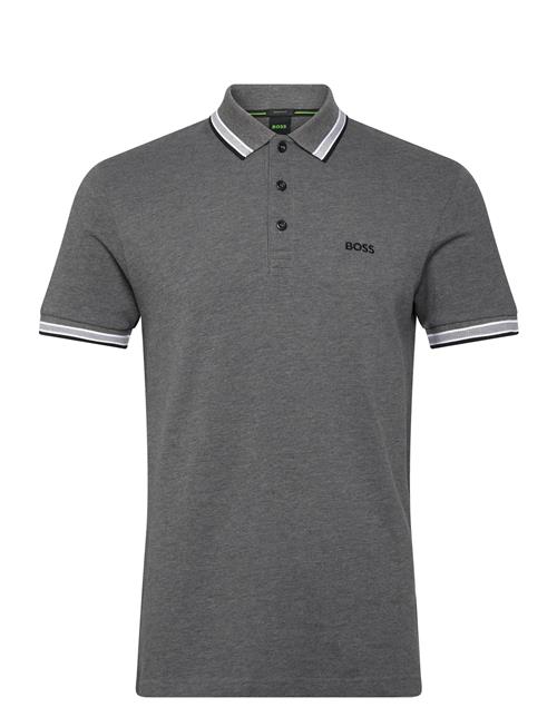 BOSS | Paddy | M