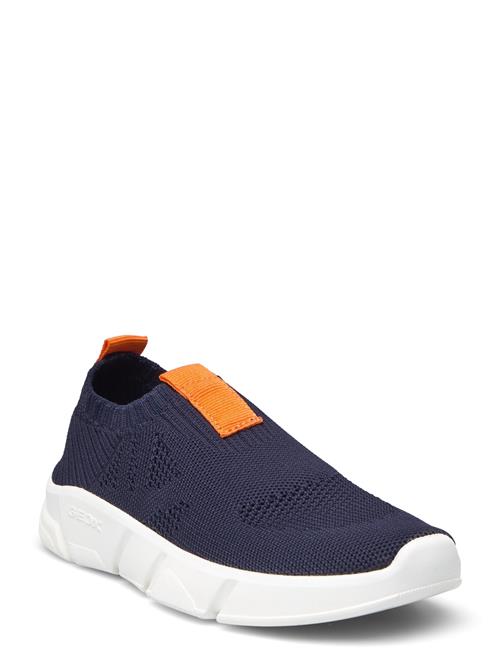 GEOX | J Aril Boy A | 34