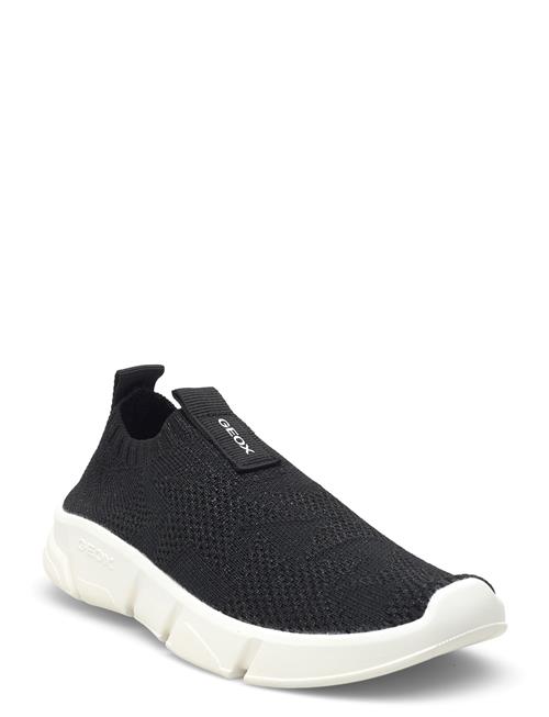 GEOX | J Aril Girl E | 32