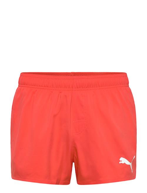 Puma Swim | Puma Swim Men Short Shorts 1P | S