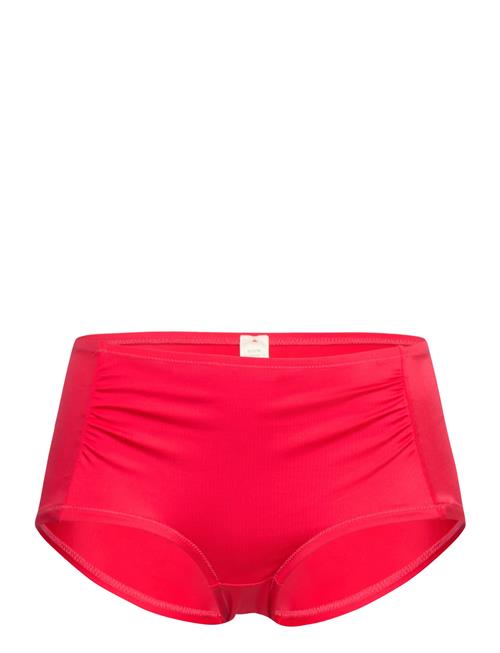 Dorina | Fiji/Eco Hipster_Classic | S