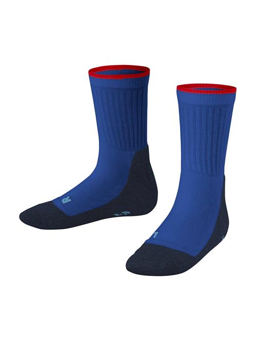 FALKE Sportssokker  blå / navy / rød