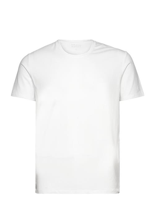 Frank Dandy | Bamboo Tee | XXL