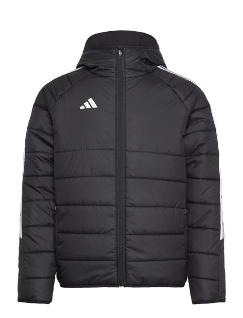 adidas Performance | Tiro24 Wint Jkt | XXXL