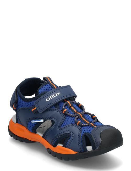 GEOX | J Borealis Boy C | 27