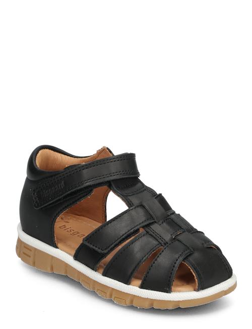 Bisgaard | Bisgaard Angus | 25/15.5CM