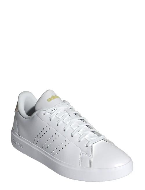 adidas Sportswear | Advantage 2.0 | 36