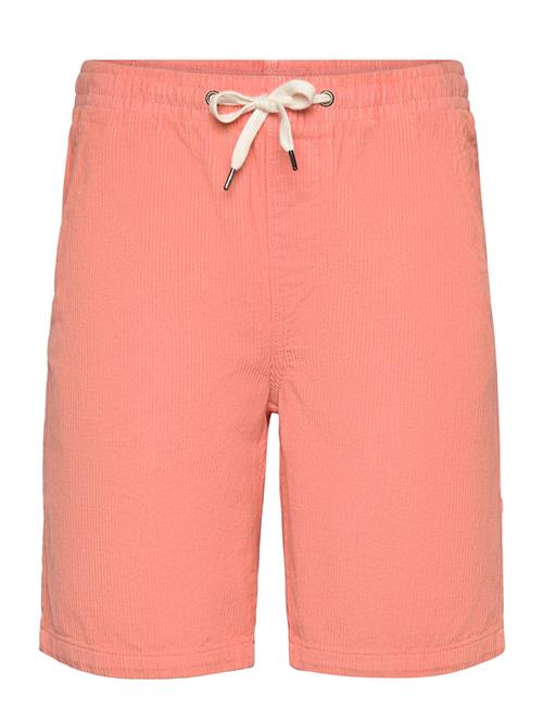 Lindbergh | Corduroy Shorts | XXXL
