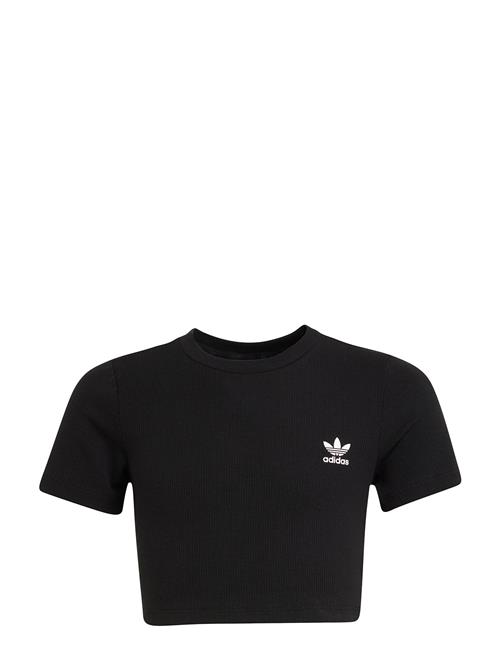adidas Originals | Rib Crop Tee | 170