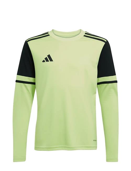 adidas Performance | Squa25 Gk Jsyly | 116