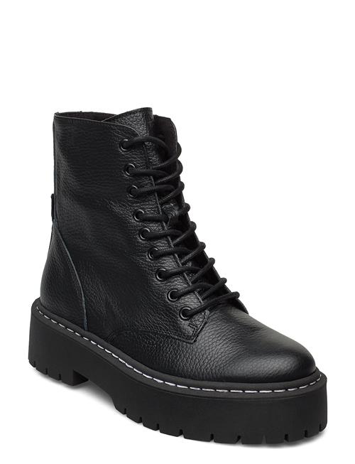Steve Madden | Skylar Bootie | 41