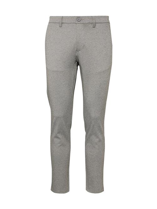 Only & Sons Lærredsbukser 'ONSThor 0209'  grå-meleret