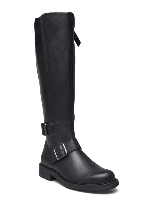 Clarks | Orinoco2 Tall D | 37