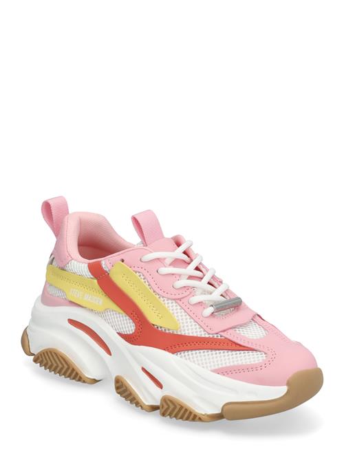 Steve Madden | Possession-E Sneaker | 36