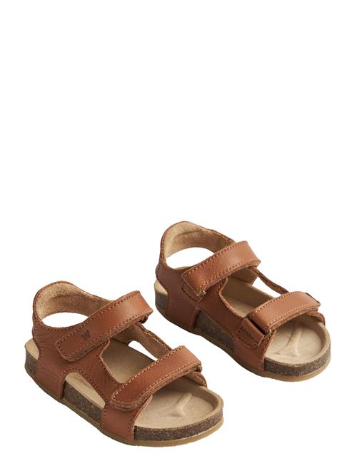Wheat | Sandal Corey | 27