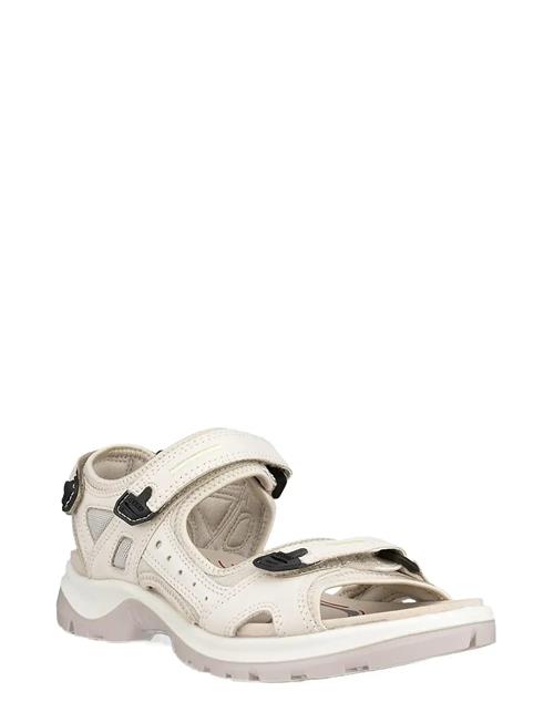 ECCO | Offroad | 40
