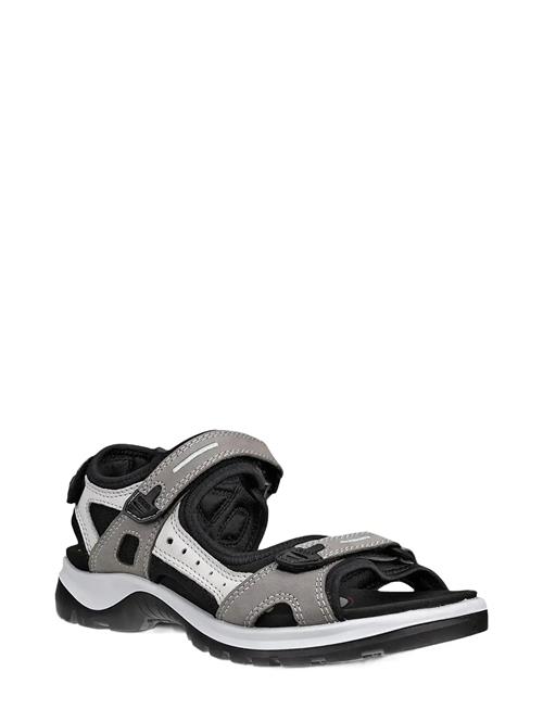 ECCO | Offroad | 40