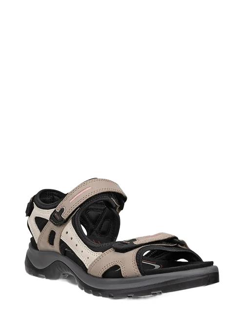ECCO | Offroad | 37